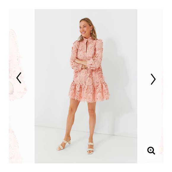 Tuckernuck Dresses & Skirts - Blush Guipure Lace Palmerston Dress TUCKERNUCK
